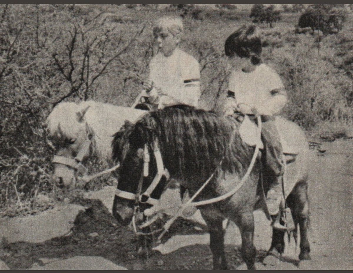 Felicidades ⁦@cristiancastro  ⁦<a href="/michcastro/">Mich Castro</a>⁩  a todos los nińos y nińas del mundo que solo tengan felicidad .👼👼👼👼👼👼👼👼👼👼👼👼👼👼👼👼👼👼👼👼👼👼👼👼🙏