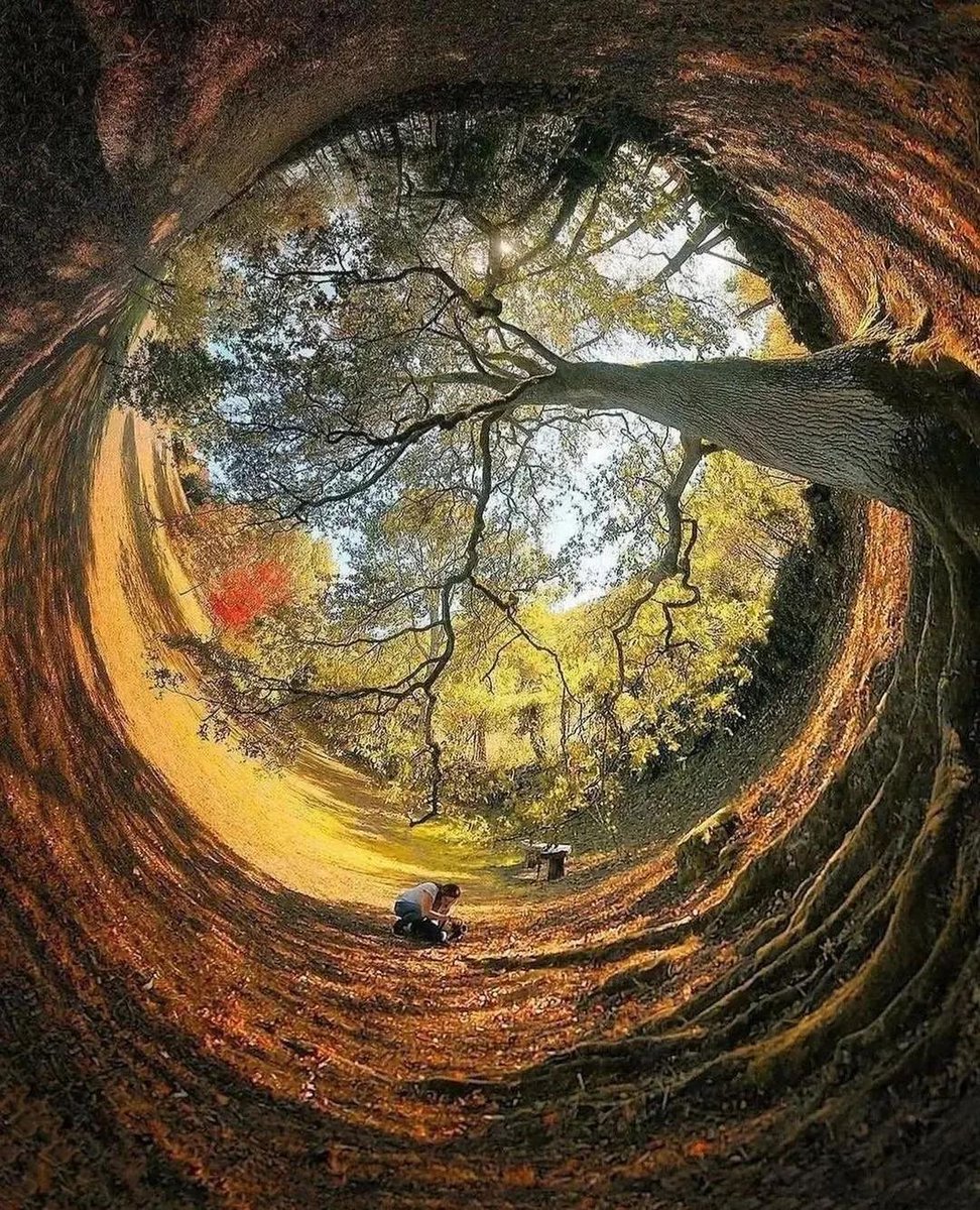 1Gnossienne's tweet photo. 📷 : François Casanova https://t.co/I0IkGUTJ9K