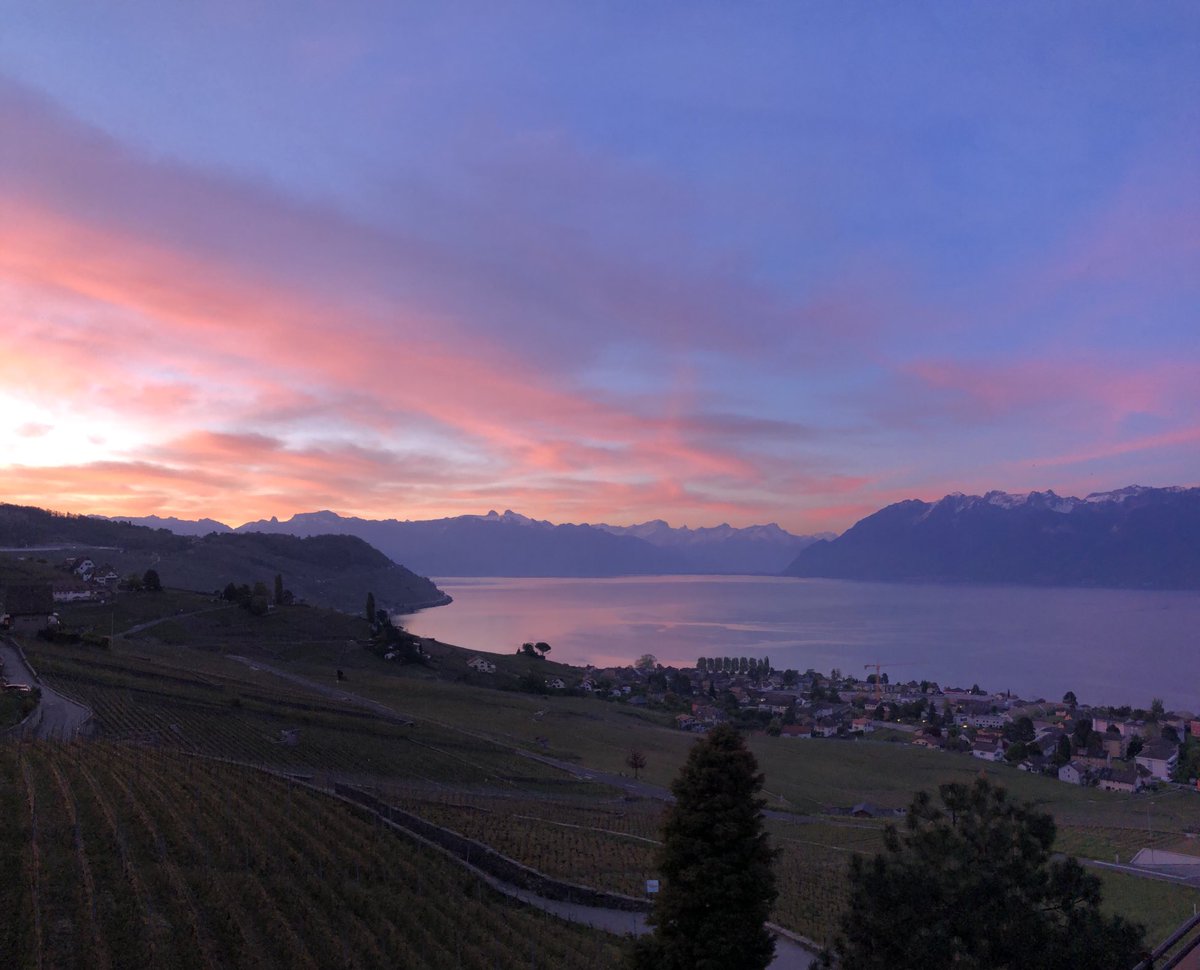 Martin Vetterli tweet media