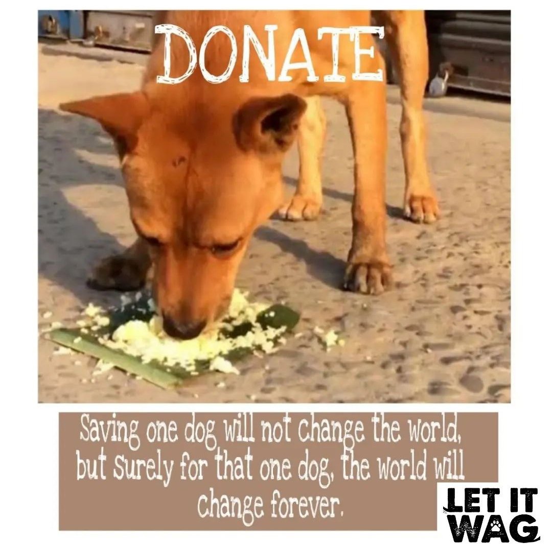 "If you help and rescued a starving dog and adopt him and make him prosperous he will not bite you. This is the principal difference between a dog and a man."

                        - Mark Twain.

Follow us on Instagram for more animals related content! instagram.com/letitwagapp?ig…