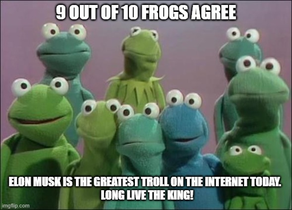 MuppetMeme's tweet photo. @elonmusk
#VoteMuppet https://t.co/ywXN7SOZjc