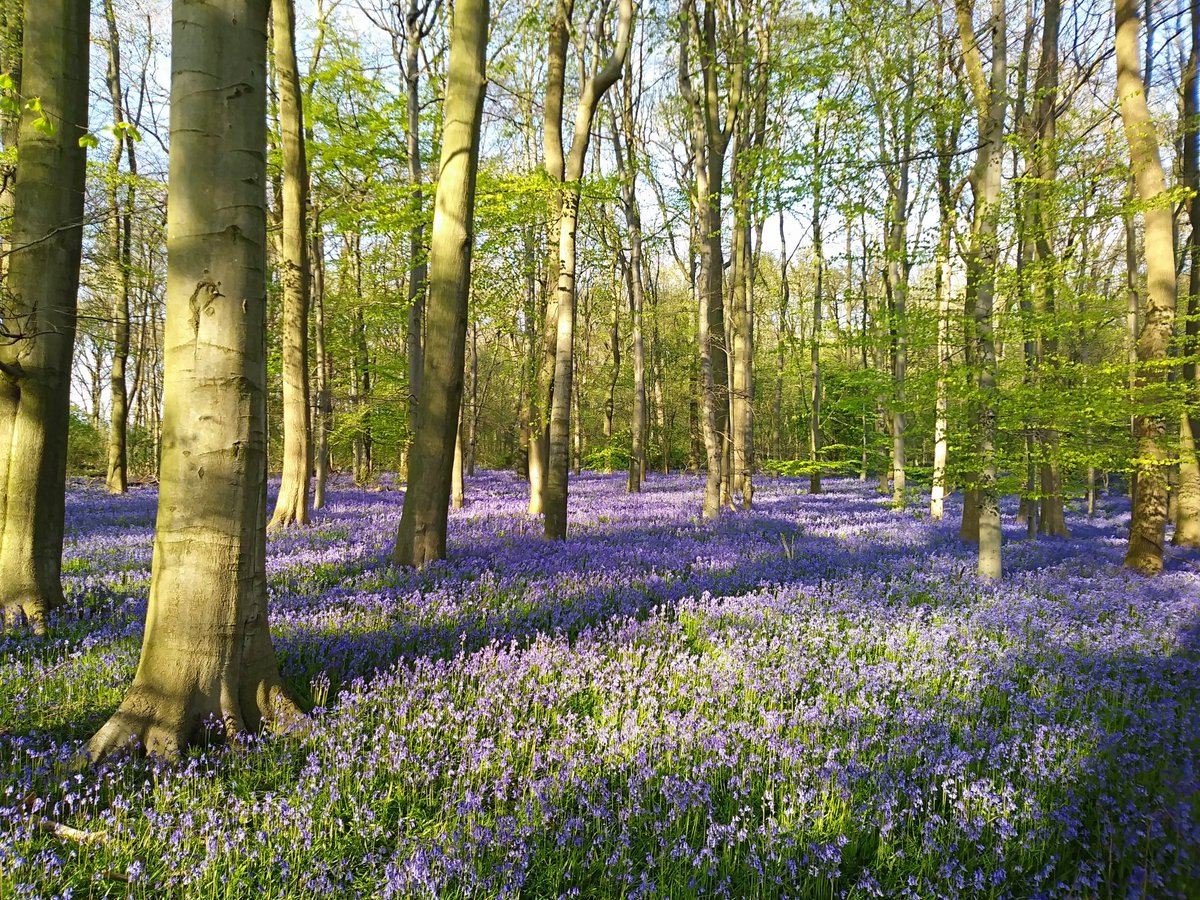 ∃! David Turner tweet media