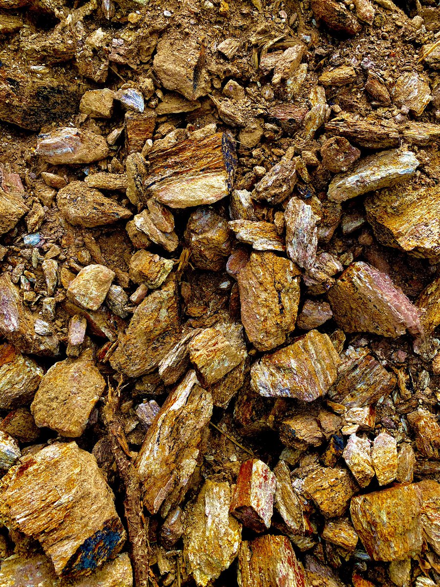 Allen Avenue tweet media