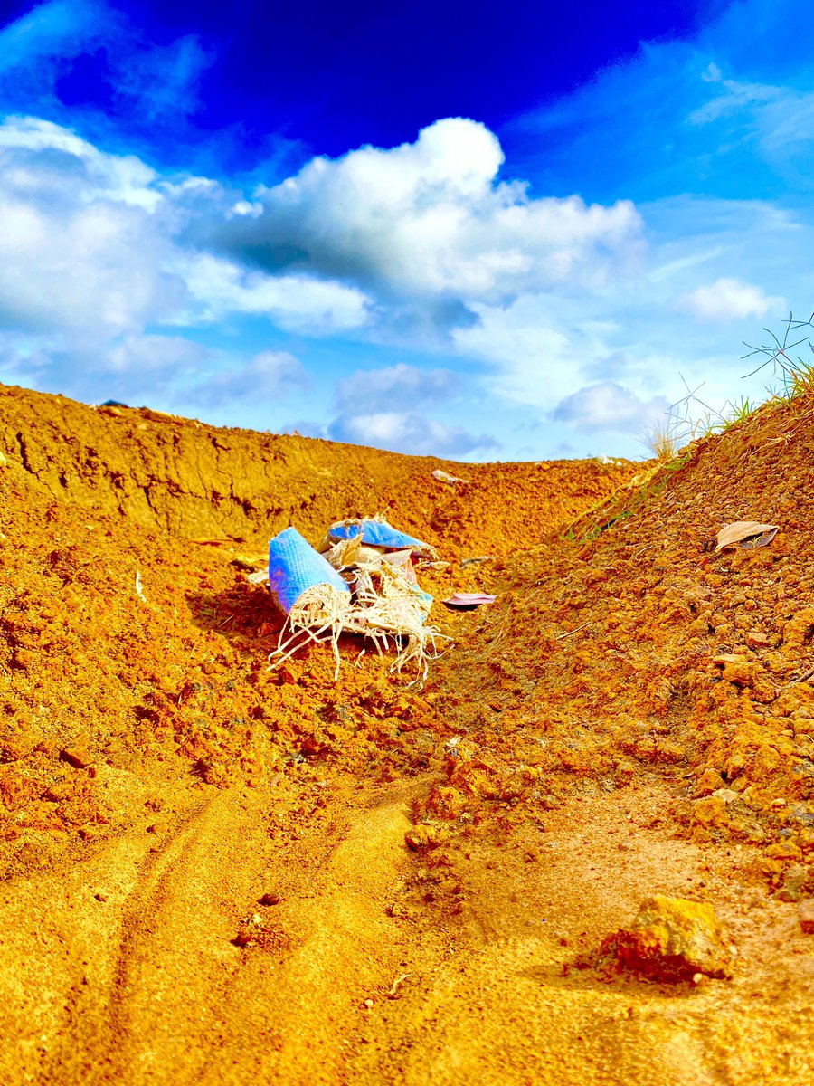 Allen Avenue tweet media