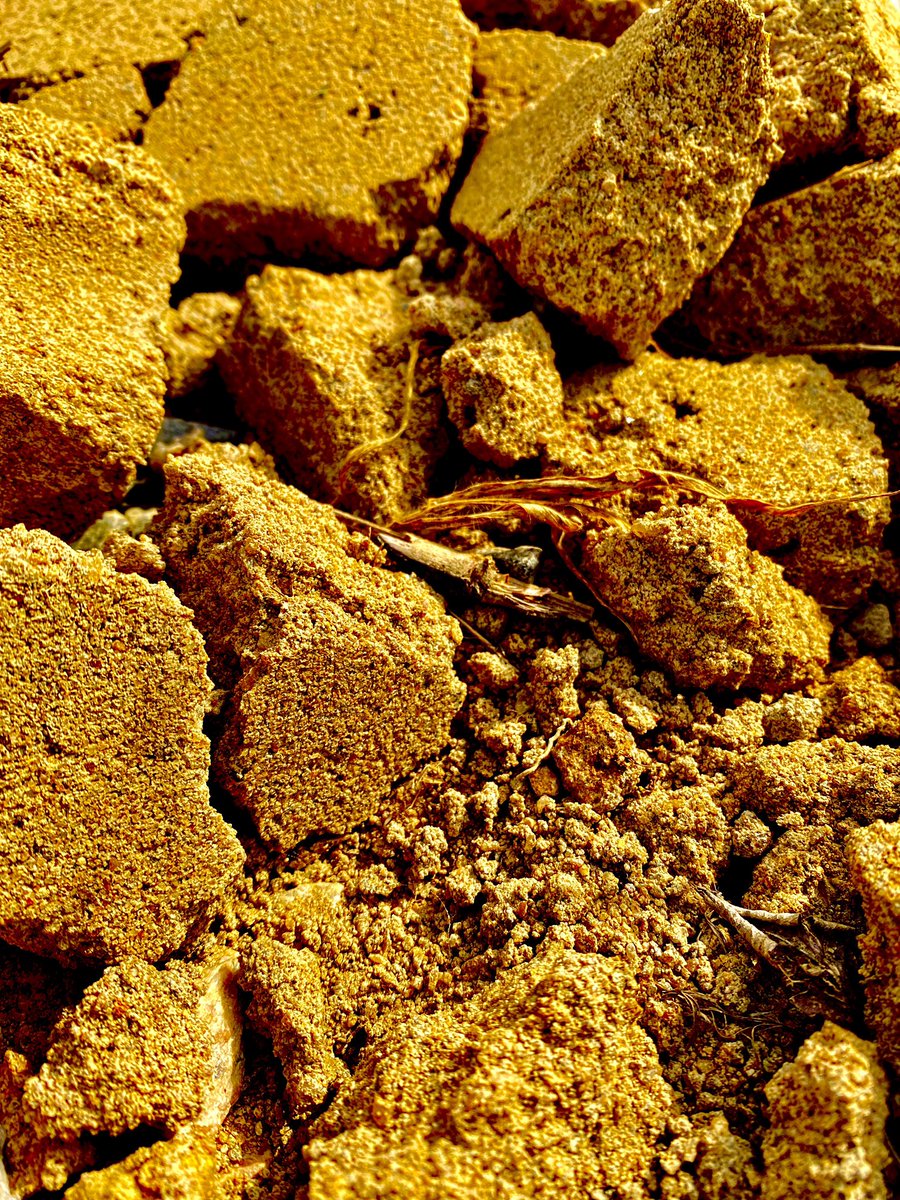 Allen Avenue tweet media