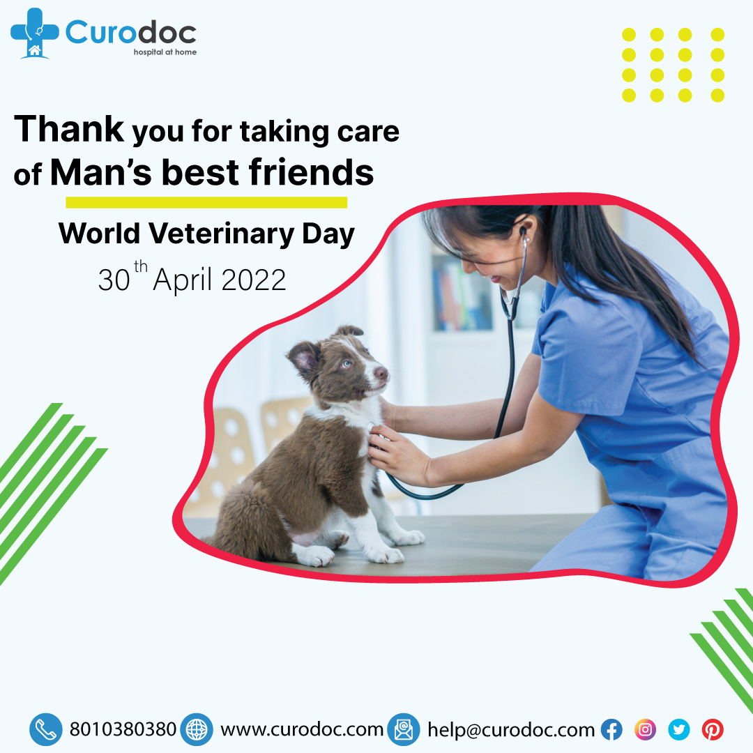 Thank you for taking care of Man’s best friends!

World Veterinary Day

#Curodoc #WorldVeterinaryDay #WVD2022 #Veterinary #Veterinarian #WorldVeterinaryDay2022 #Healthcare #HomeHealthcare #Animal #Health #GoodHealth #Delhi #Gurugram #Chandigarh #India
