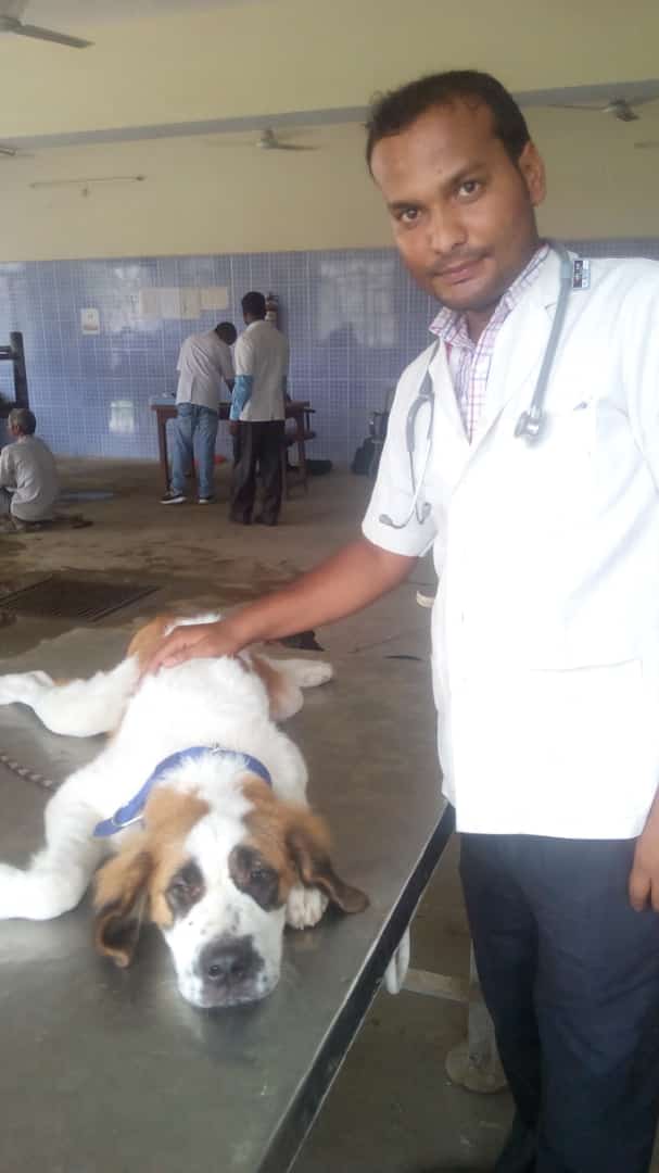 DrAjayVetDoctor's tweet photo. Happy World Veterinary Day: 
              - Dr.Ajay
@dimpleyadav @myogiadityanath @yadavakhilesh @RahulGandhi @BhagwantMann @ArvindKejriwal https://t.co/d9RxoYMCl8