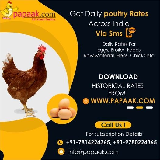 infopapaak's tweet photo. Click here - https://t.co/zP2uEOgDZu
#EggRate #broilerrate #feedrate #chicksrate #henrate #historicrates #papaak #poultry https://t.co/MwgSuV5z8Y