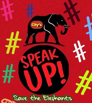 CitysFElephants's tweet photo. # My current 𓃰 30.4.2022
hashtags:
#SpeakUp for #Elephants
#SaveAllElephants
#Botswana
💥 #BigTusker
🎯 #BanTrophyHunting
🔊#OutcryAgainstTrophyHunting
🖤#EndOfTheGame 𓃰
#SaveBotswanaElephants
#Molly #FreeMolly
#SaveChinaElephants 🇨🇳
#CaptivityKills
#ZooWithoutElephants
⤵️ https://t.co/At9sC0S8Vi