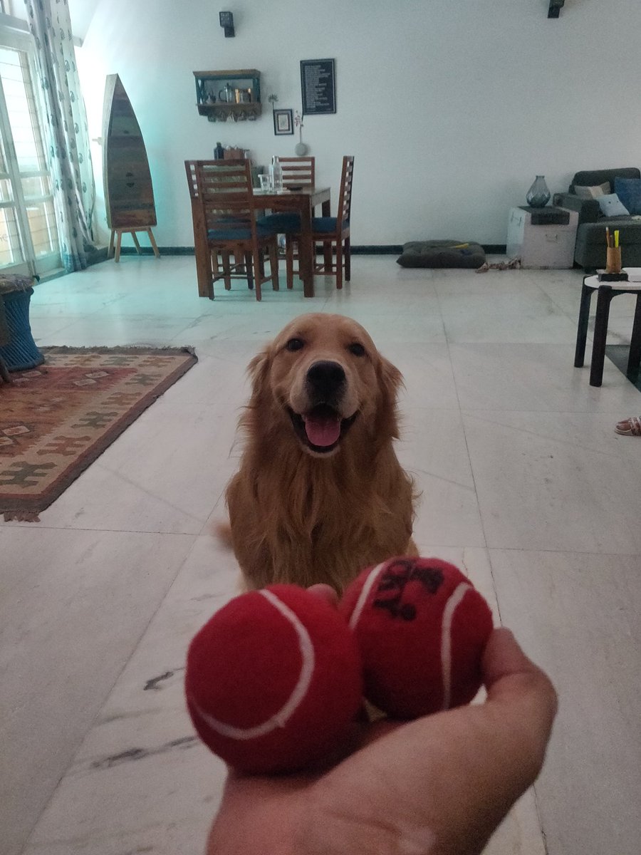 Django made happy in 30 minutes! Thanks to <a href="/Warpli_Official/">Warpli</a>!