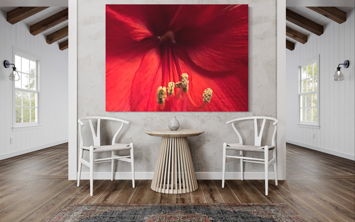 Amaryllis Flower in Bloom #Lush ##Photograph #Art  #artbyDuVal #Portland #Oregon
