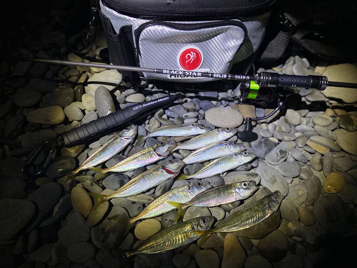 _ajimaster's tweet photo. #blackseaajing #microgame #rockfishing #Crimea #Sevastopol #ajing #metaljig https://t.co/o4YAXeP19t