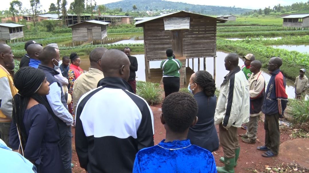 BURUNDI/MINEAGRIE tweet media