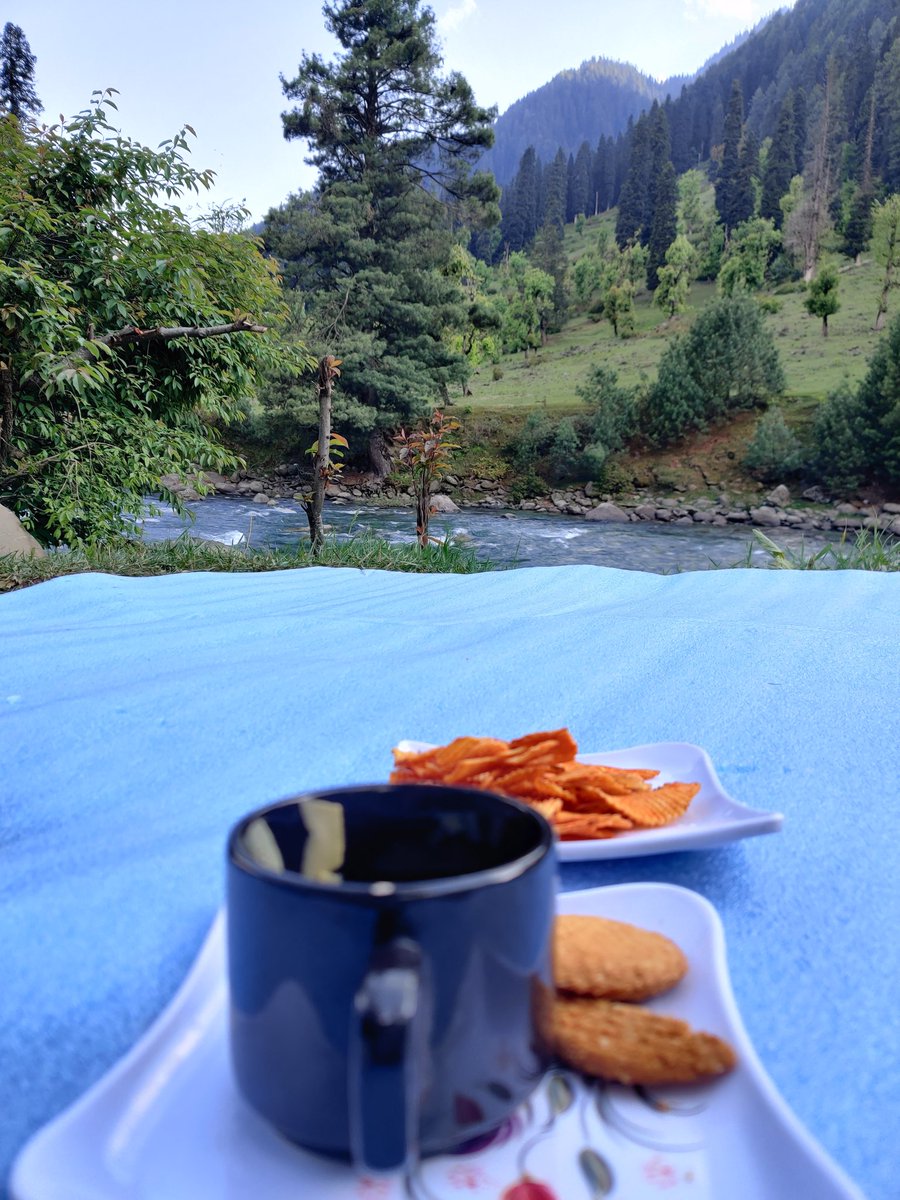 anubha1812's tweet photo. #Kashmir is beautiful ❤️
More than 85 lakh tourist visited in last 3 months 

I went to Kashmir for the first time

It's a lovely place and people are very affectionate https://t.co/KxivIugPS3