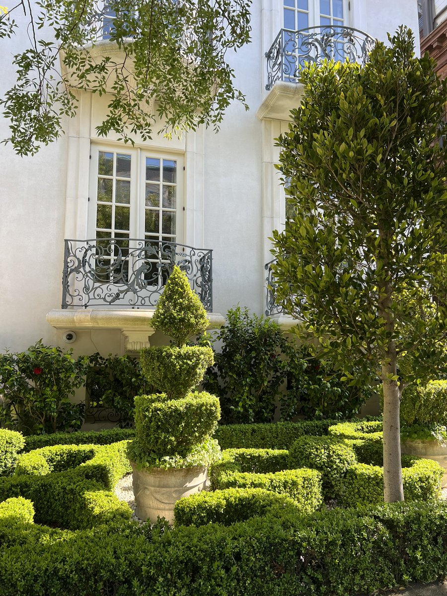 andreachorst's tweet image. I needed to feel the sun on my face and look at #spring flowers after this helluva week. Thank goodness my neighbors have great gardens 🥰 #TGIF

#PacHeights #StreetsOfSF