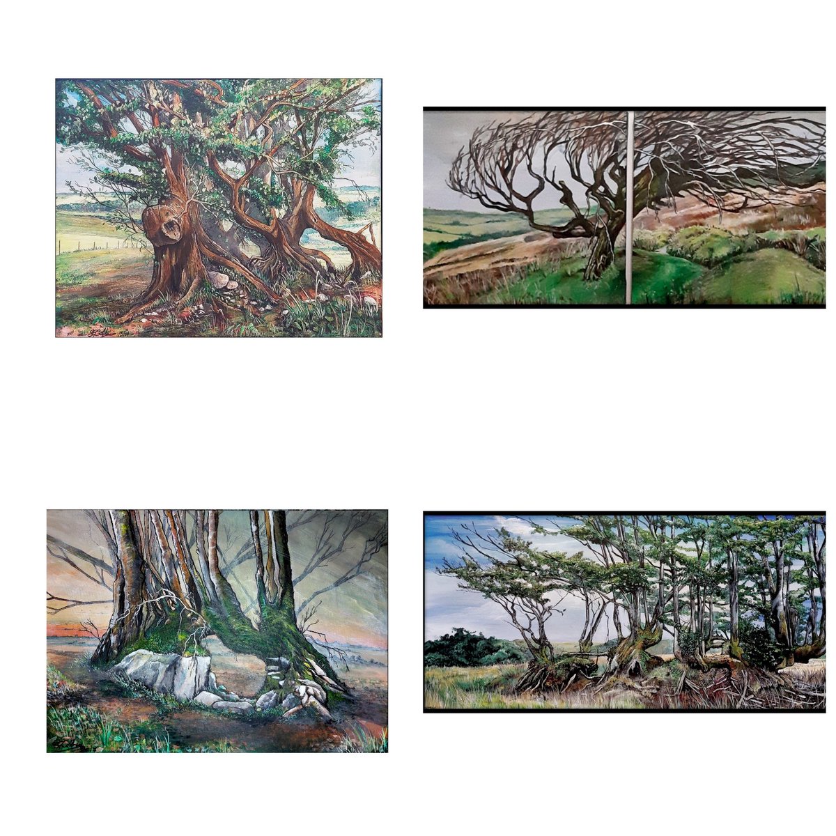CobbinSteve1's tweet photo. Some Exmoor gnarly tree paintings.  Because I love a good gnarly tree.. and I want to get back there. .  When the arm recovers 
#Cobbart #painting
#trees #landscapepainting
@Exmoor_Hour @visitexmoor @TheBestofExmoor #Exmoor
@exmoorstore https://t.co/facSthaafK