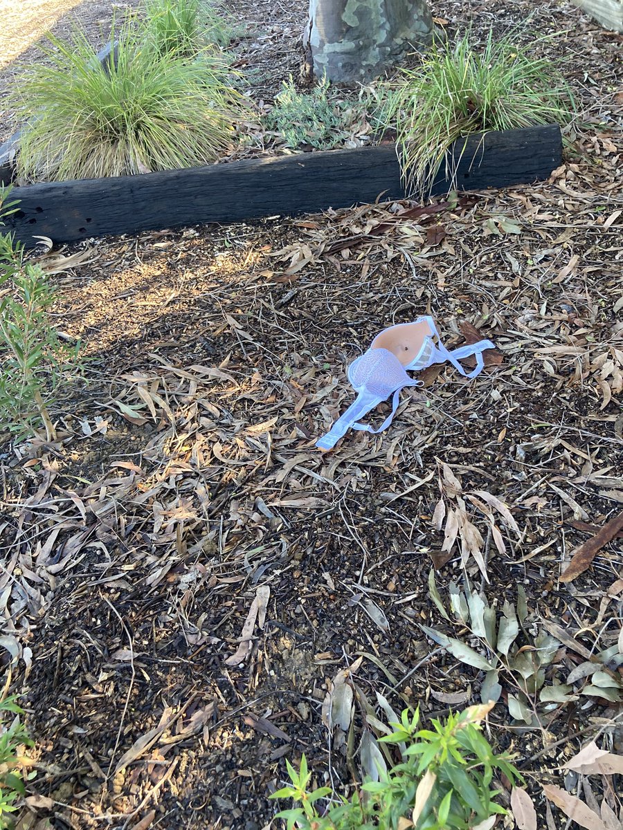 Docsthename's tweet photo. Go bush, be free! #thingsyoufind https://t.co/VqxnIAfed9
