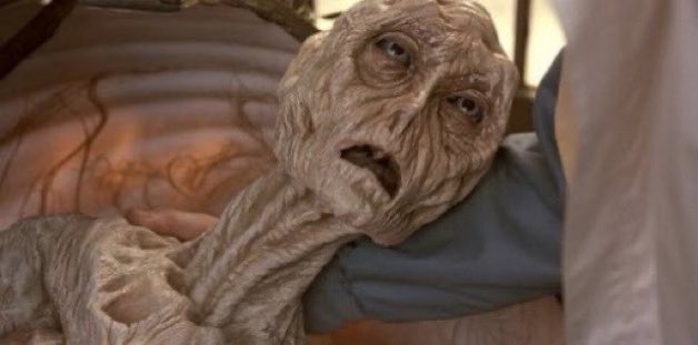Chahalvermaa's tweet photo. Me in 2024 waiting for the bull market to finally start https://t.co/FDjLR1IFPr
