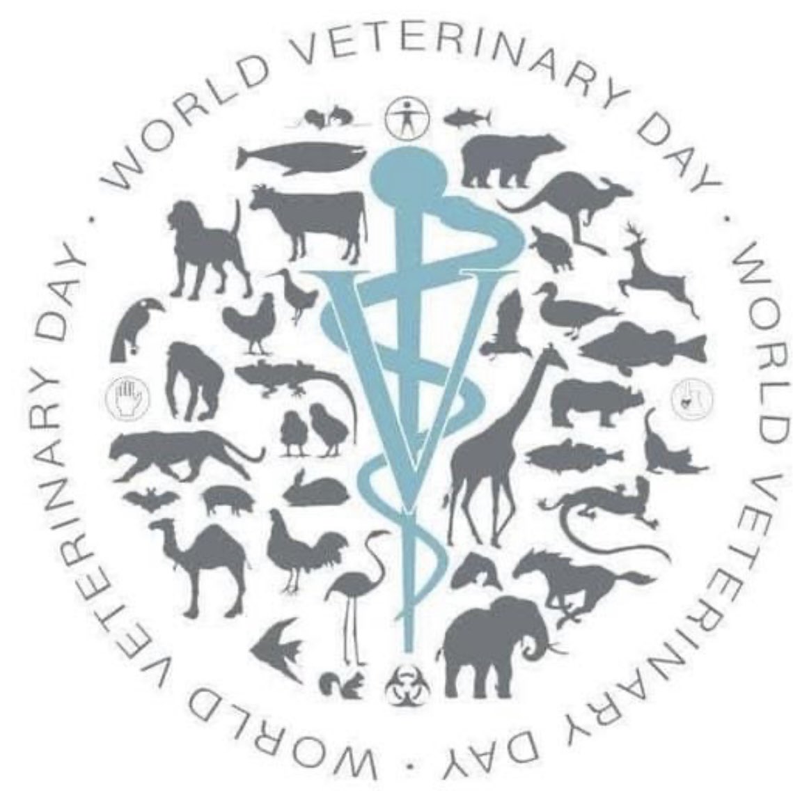 İşimiz, aşımız, can yoldaşımız hayvanlarımızın doğumunda, hastalığında, sağlığında yanında olan veteriner hekimlerimizin günü kutlu olsun.