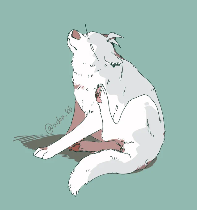 かゆい

※擬獣化 