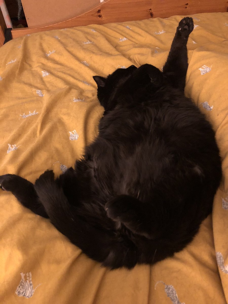 Emma Aitken 💝🦩🛍️ tweet media