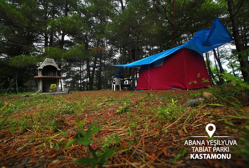 kastamonuvalilk's tweet photo. 🇹🇷 #Kastamonu / #TabiatTurizmi / #TabiatParkı
Yeşilin her tonunu barındıran kamp ve yürüyüş alanlarıyla yuva sıcaklığı ve huzurunu hissedebileceğiniz
🏕 Yeşilyuva Tabiat Parkı
📍 #Abana
#yeşilyuva #kamp #campside #camp #trekking #bushwalking #yürüyüş #naturepark #campingsite https://t.co/S1tHI3NN9t