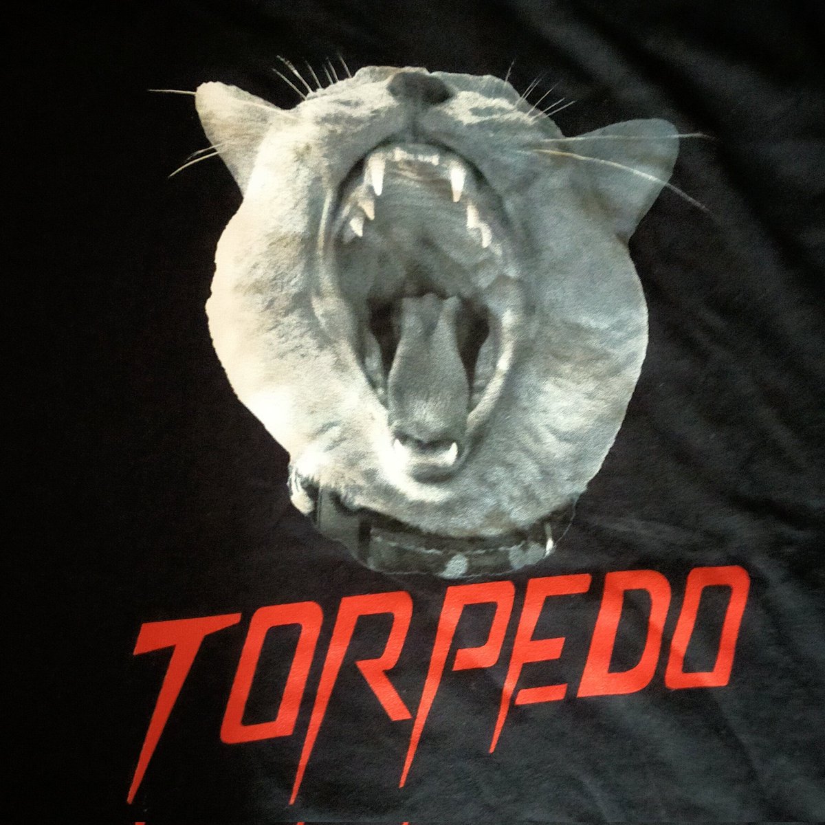 Jo_Hardie's tweet photo. #NewProfilePic #fierceBamboo @FeederHQ #Torpedo #tour https://t.co/R2b1k2LisX