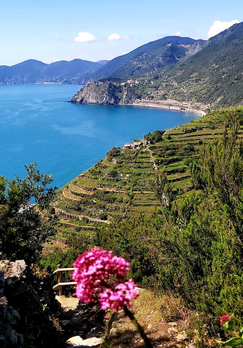 Alle Cinque Terre la bellezza la condividiamo volentieri 😉🌷
#Stonewalls4life 👉 stonewalls4life.eu
<a href="/parco5terre/">Parco Cinque Terre</a> 
📸 <a href="/santogrammatico/">Santo Grammatico</a>