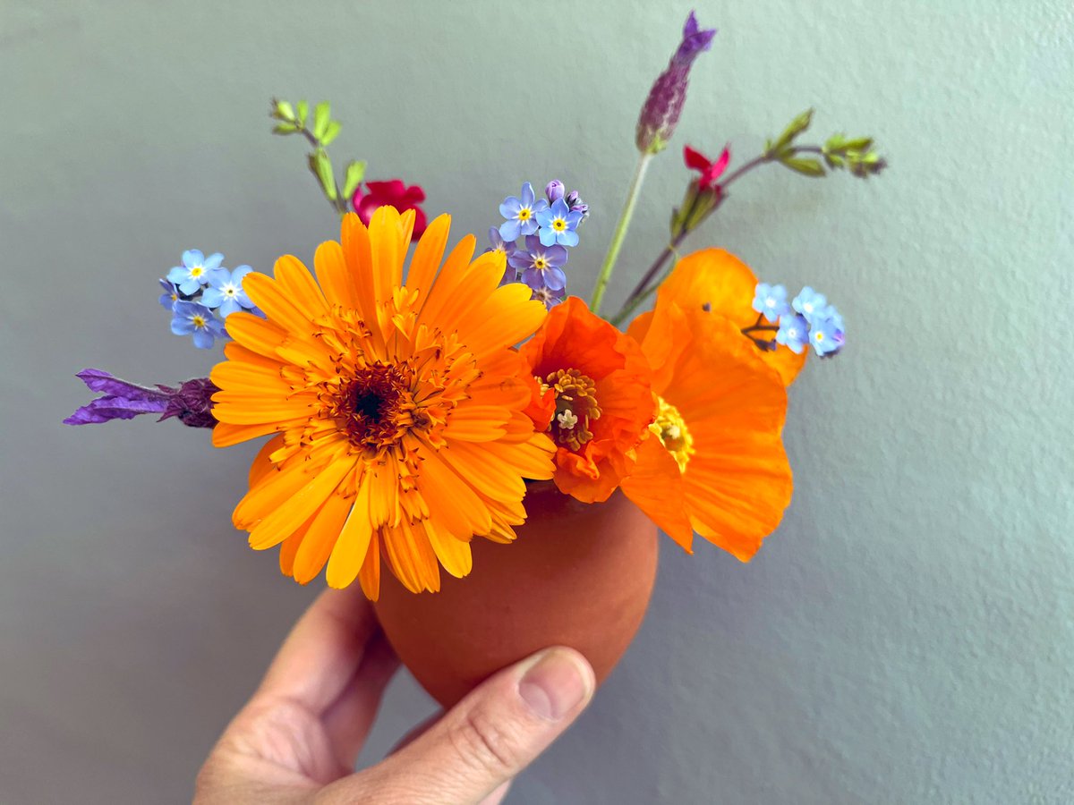 Flowers from the #garden
#soil #urbangrowing