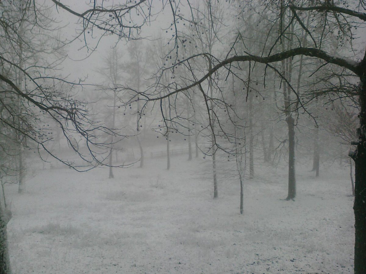 Backchannels Journal tweet media