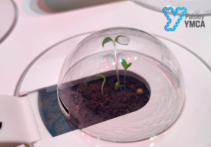 YMCAPaisley's tweet photo. We are experiencing growth in our Makerspace! Our smart gardens can be seen in the windows of our space at Paisley YMCA 🌱✨ #paisley #paisleyymca #scottishyouthwork #stem #youthworksaveslives #techforgood #techtotable #youthwork https://t.co/jTAoYzWJtC