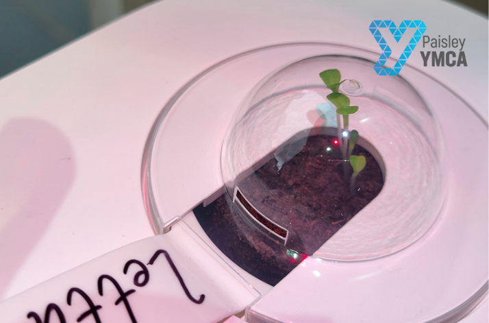 YMCAPaisley's tweet photo. We are experiencing growth in our Makerspace! Our smart gardens can be seen in the windows of our space at Paisley YMCA 🌱✨ #paisley #paisleyymca #scottishyouthwork #stem #youthworksaveslives #techforgood #techtotable #youthwork https://t.co/jTAoYzWJtC