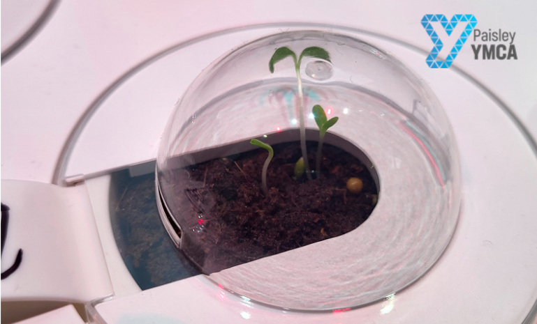 YMCAPaisley's tweet photo. We are experiencing growth in our Makerspace! Our smart gardens can be seen in the windows of our space at Paisley YMCA 🌱✨ #paisley #paisleyymca #scottishyouthwork #stem #youthworksaveslives #techforgood #techtotable #youthwork https://t.co/jTAoYzWJtC