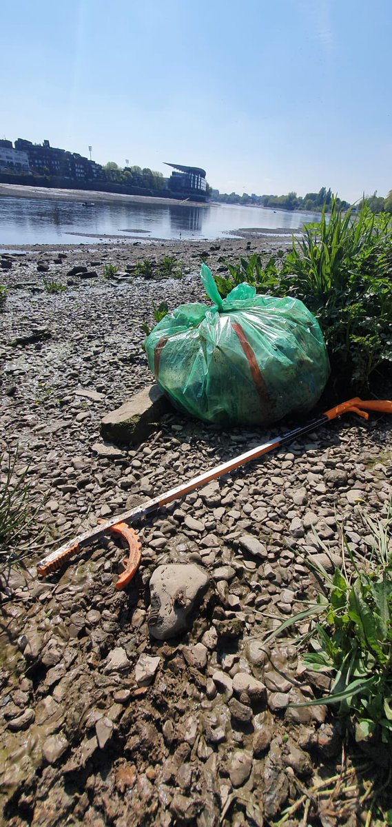 Wimbledon Common Prep School tweet media