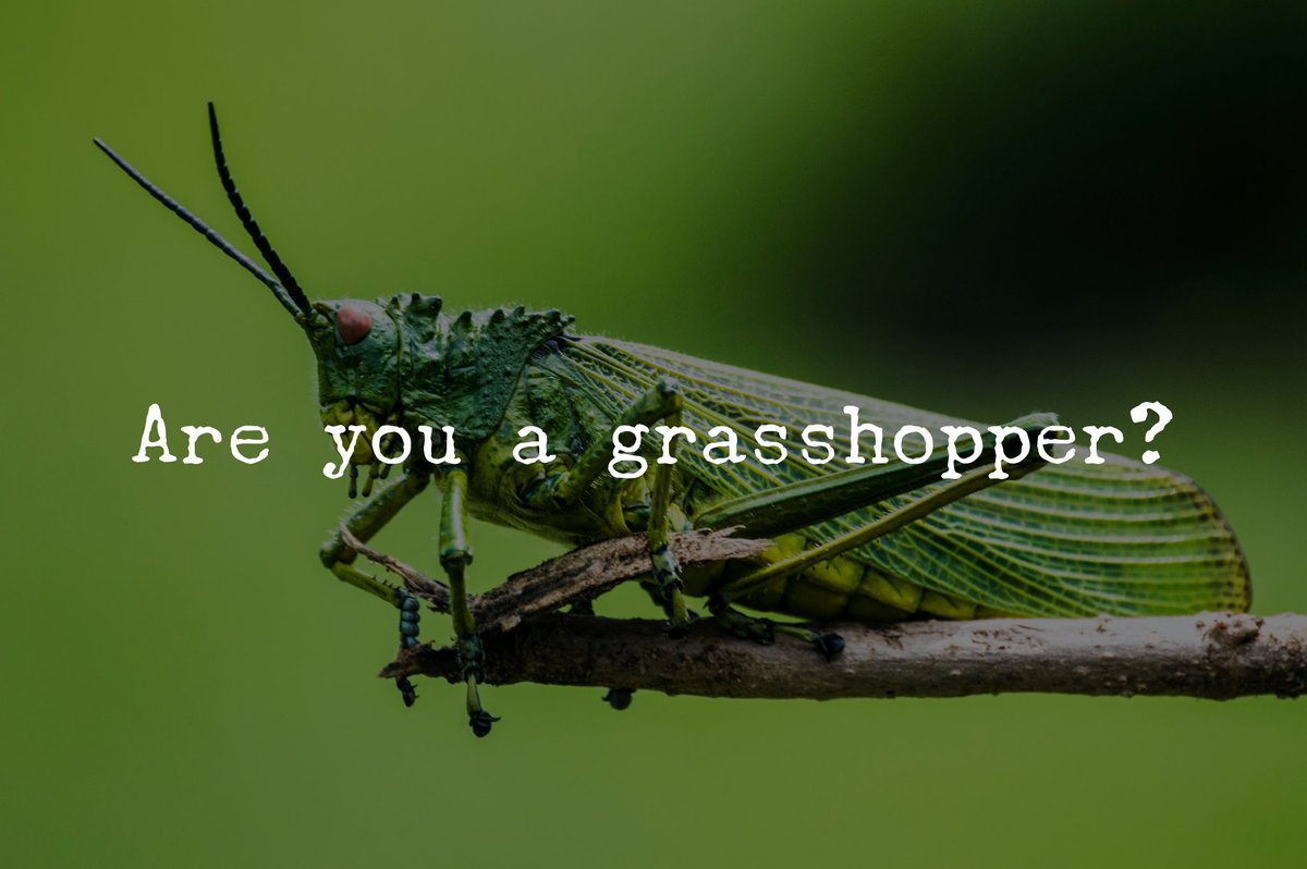 kvministries's tweet image. What the Israelites feared (giants) they never encounter until 370 years later; then a 15 year boy killed it with a rock. 

What you see is determined by who you are. 

If you are a grasshopper the world looks like giants. If you are a giant the world will look like grasshoppers