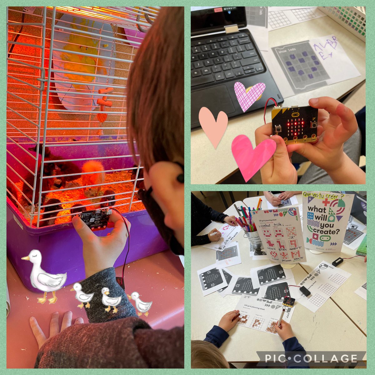 Renée Ste-Marie tweet media