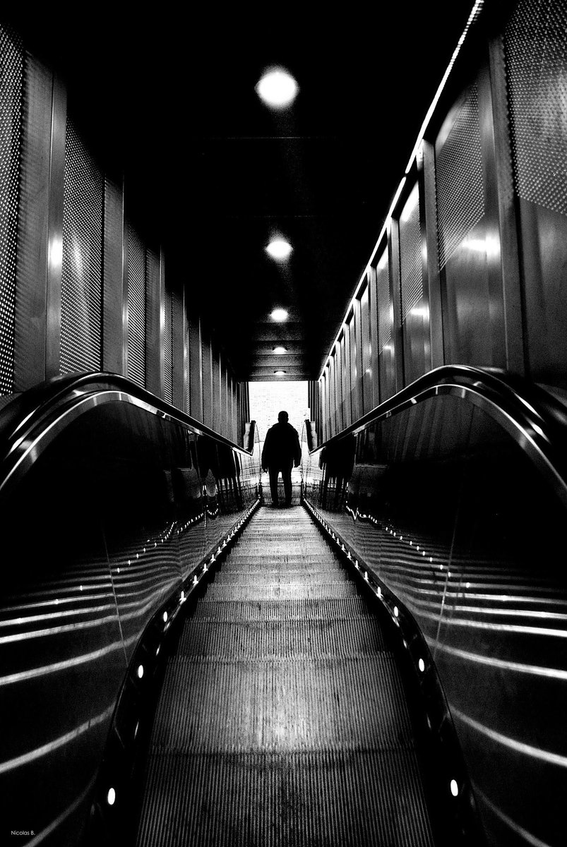 France500px's tweet photo. Alone...
Paris, France
Nicolas B.
.
.
.
.
.
https://t.co/WyJNbGJAMB
Nikon D3000
18mm
ƒ/3.5
1/50s
ISO 400
#500px #500pxfrance #france #french #travel #world #instagram #instagramfr #Paris https://t.co/6cE4Fctf3r