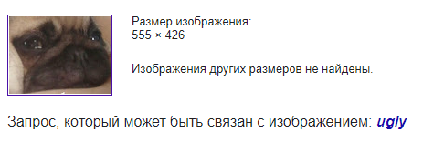 хватит кибербуллить мопсов