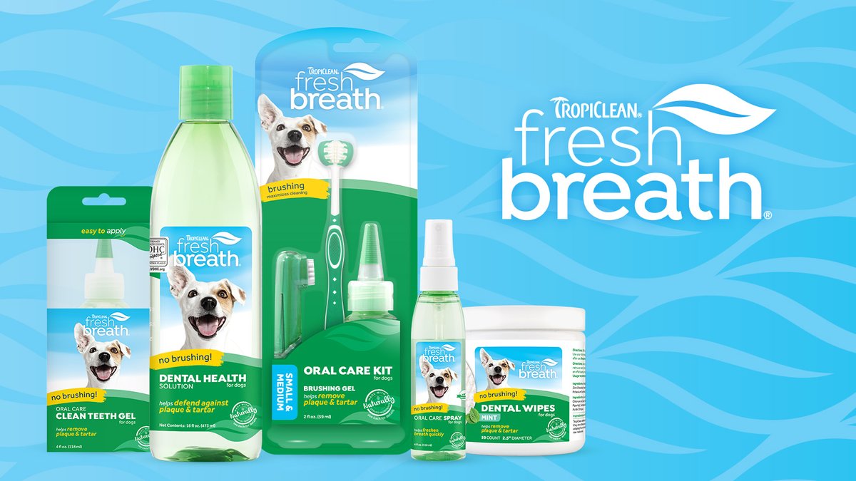 FYI: Dog breath is not cute. It’s actually one of the first signs of oral disease.  

Keep your pup healthy by cleaning their teeth w/@TropiClean Fresh Breath no brushing solutions 🦷✨ 

Shop the line here: bit.ly/37o7Waz