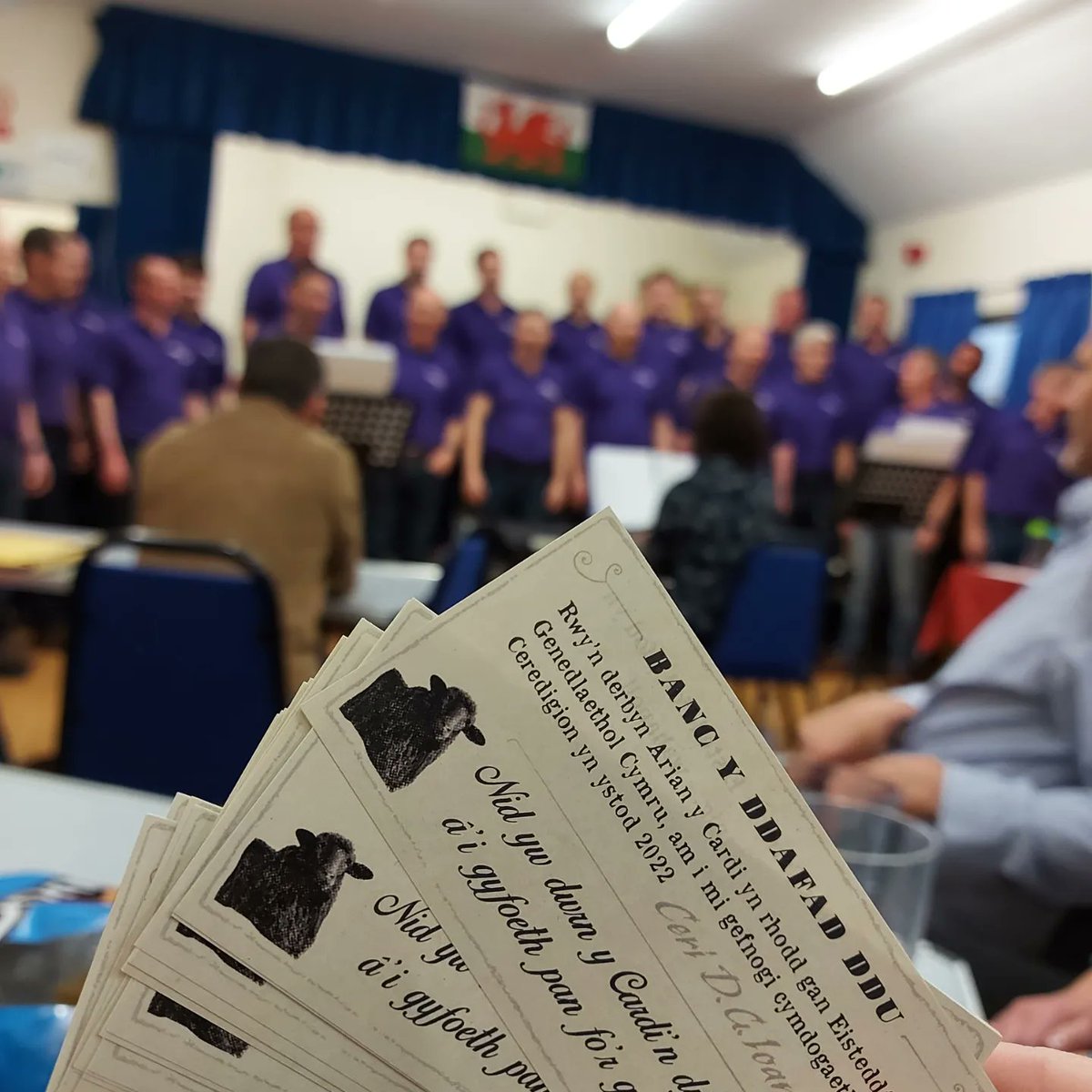 Bro__360's tweet photo. **Arian newydd - gan Fanc y Ddafad Ddu**

Neithiwr, ym mherfeddion cefen gwlad Ceredigion, daeth arian newydd i olau dydd.

Bydd darn o Arian y Cardi (gan y banc hynaf yng Nghymru) yn mynd i bawb sy'n cefnogi digwyddiadau #codihwyl yn y sir, rhwng nawr ag ymweliad yr @eisteddfod! https://t.co/nClL8RhYhn