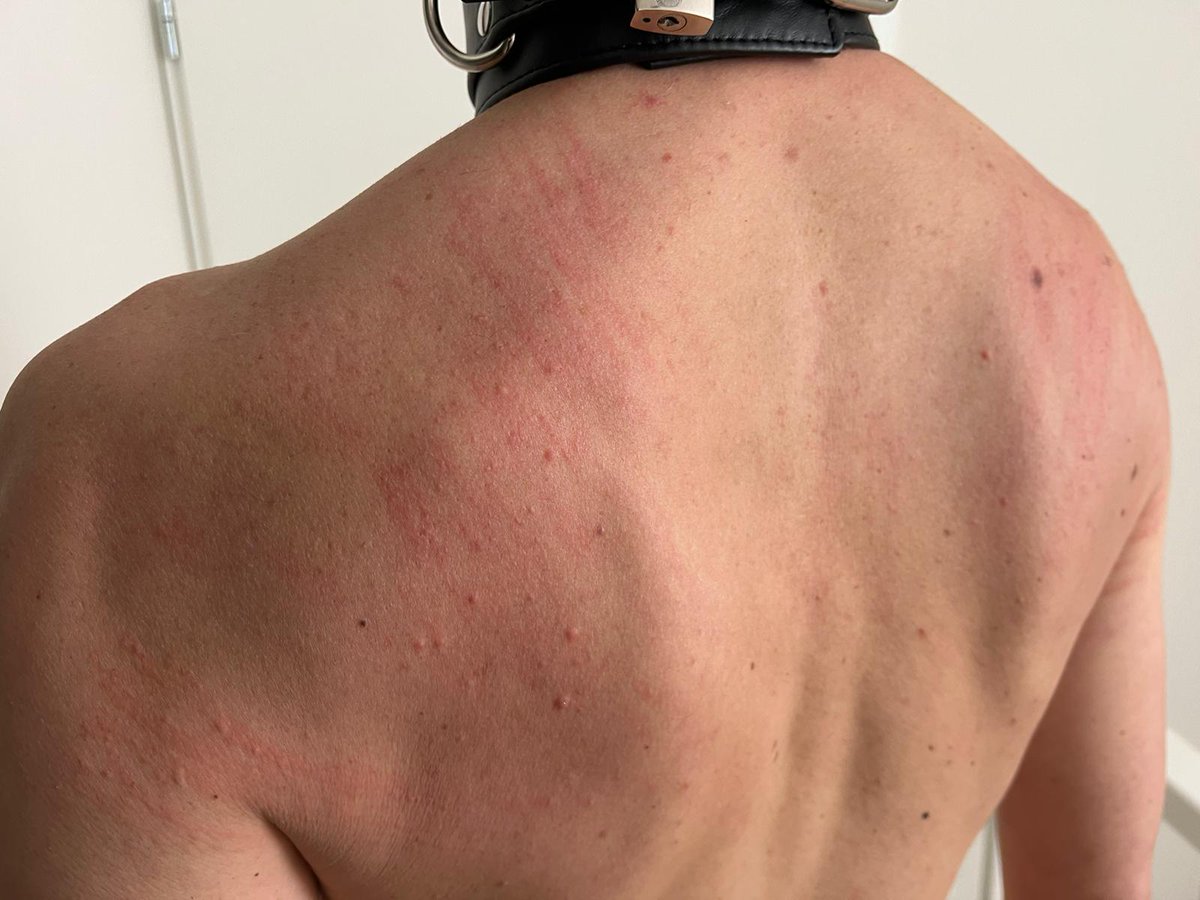 EPolderboy's tweet photo. Flogging always makes clear to me what my place is, and who I am. #fag #slave #painslut https://t.co/aEZmrPLCHG
