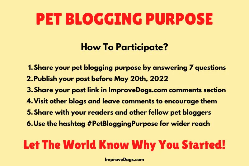 ImproveDogs's tweet photo. Are you a pet blogger sharing your experiences with the whole world?

Participate in Pet Blogging Purpose Challenge now:
Deadline: May 20, 2022

https://t.co/IoOm0aHTYV

#petblogging #petbloggingpurpose #mypetbloggingpurpose #petbloggingpurposechallenge https://t.co/pzajj4owai