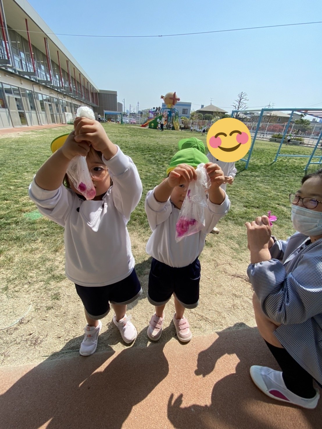北長瀬ちどり保育園 保育園 岡山市 今年はツツジに肥料をあげたからなのか沢山の花が咲いています こどもたちは園庭のツツジの花で 色みずを作って楽しんでいます みて ジュースできたよ 別の子は これー と花びらをみせてくれたりと すごい