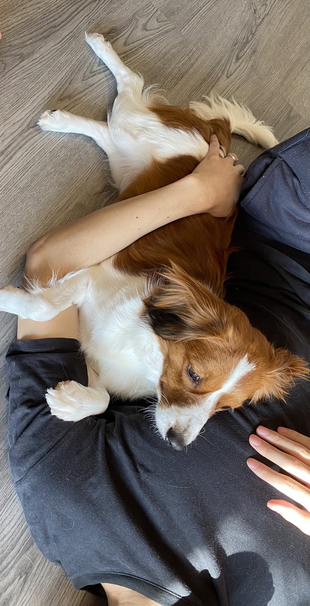 来月は実家帰省〜🏠
行くのめっちゃ久々な気がする！

全然関係無いけど犬をベンチに乗せるのはマナー的にダメなのでは…？が気になる今日この頃😔

犬用のベンチがあるなら別だけど！
明らかに人間用では？ってのは同じ犬飼的にもやもや〜💦