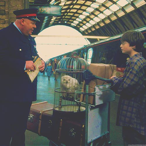 PotterWorldUK tweet picture