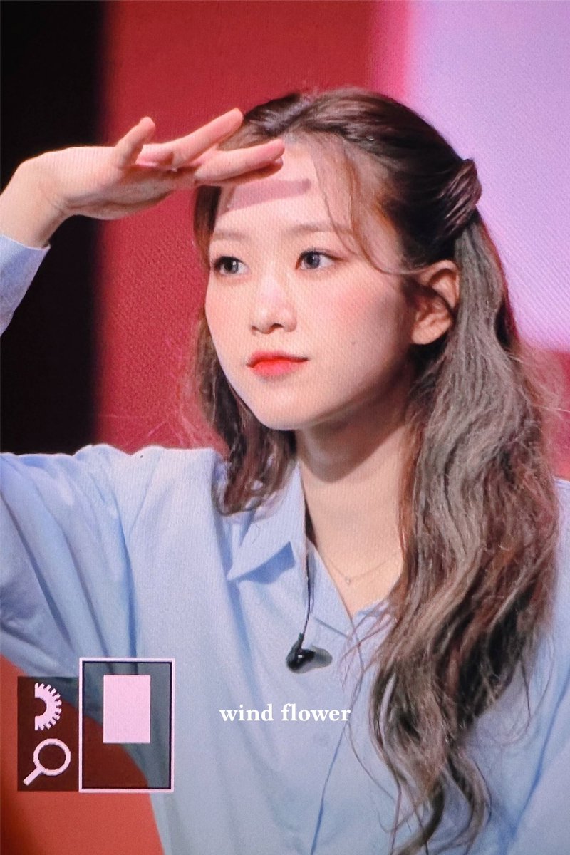 wind flower tweet media