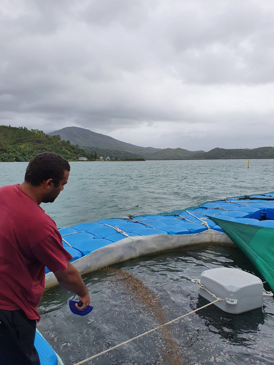 V_Verdier_IRD's tweet photo. Visite de la ferme aquacole de l’ADECAL Technopôle qui accueille un projet d’évaluation et de caractérisation de la pêche rurale non professionnelle en #NouvelleCalédonie encadré par l’ehtnoécologue de l’#IRD Catherine Sabinot. https://t.co/KYmxeB83K7