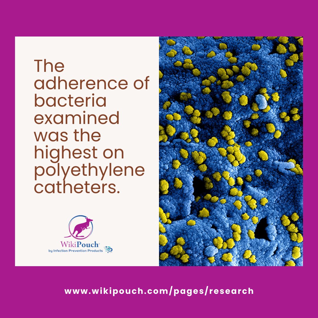 WikiPouch's tweet image. The adherence of bacteria examined was the highest on polyethylene catheters.

wikipouch.com/pages/research