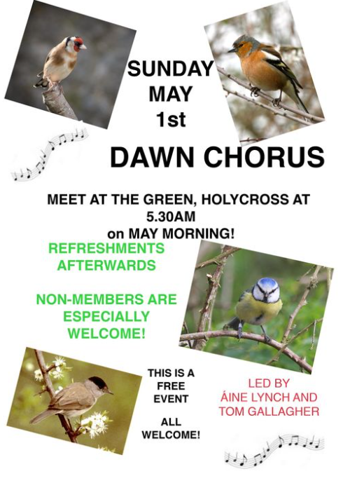 OfficeThurles's tweet photo. Cabragh Wetlands are organizing a free Dawn Chorus event tomorrow (1st May) in Holycross! 🐦

🥤Refreshments included
ALL ARE WELCOME TO ATTEND! https://t.co/kgbdsFXLyf