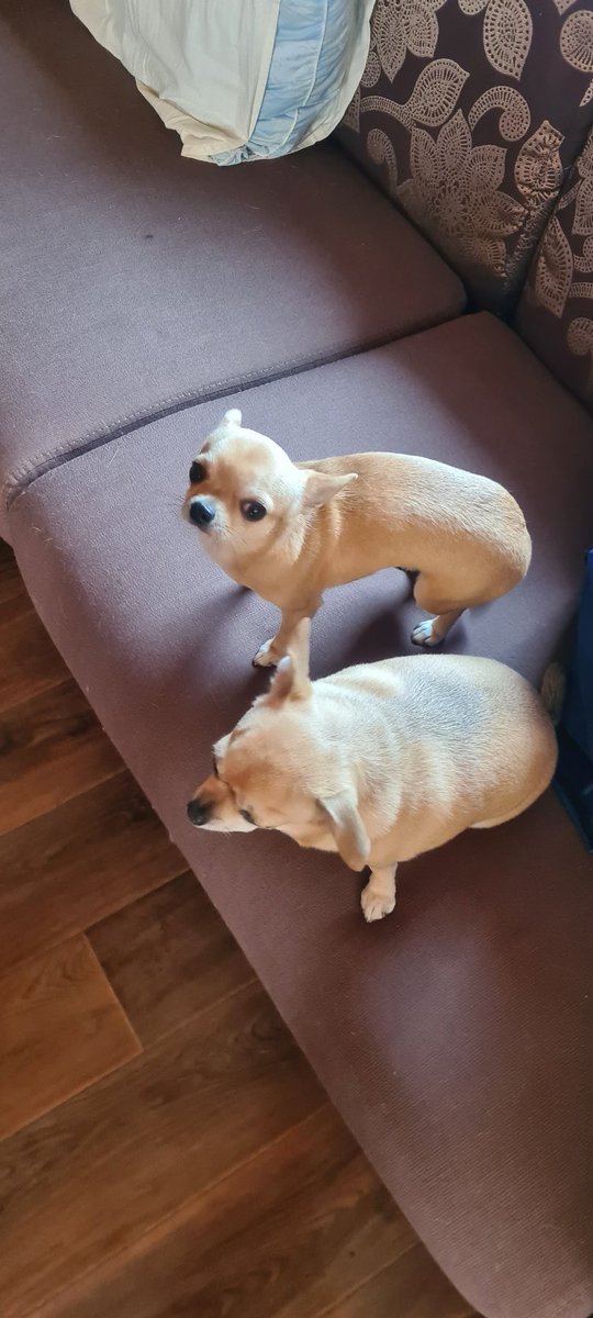 Я и любая моя подруга